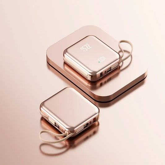 Fluxa Mini Portable Bank