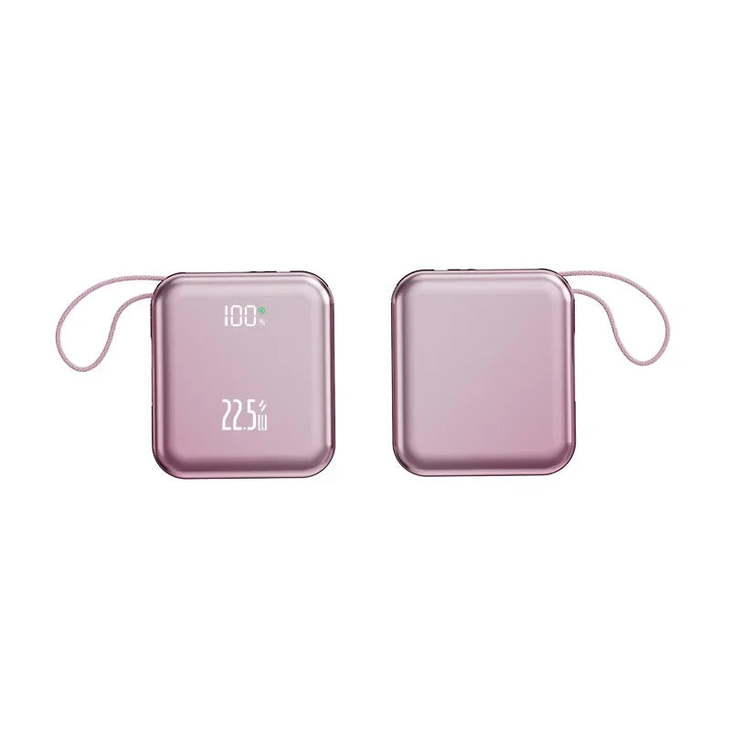 Fluxa Mini Portable Bank